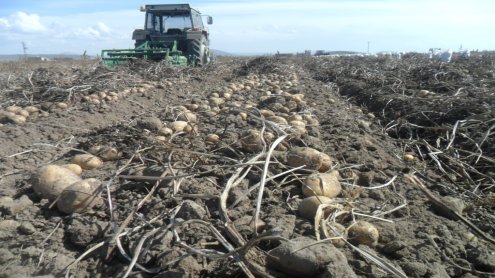 KÖYLÜLERİMİZ'DEN KUYDER EĞİTİM'E 60 TON PATATES VE 10 BİN TL PARA YARDIMI